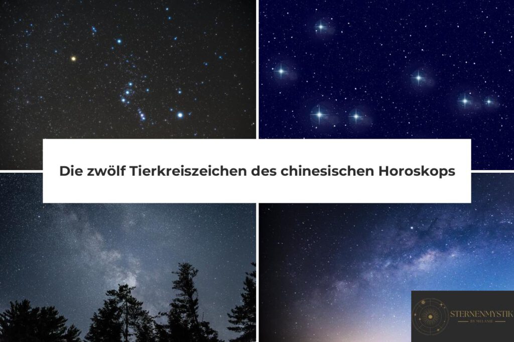 Zwölf Tierkreiszeichen chinesisches Horoskop